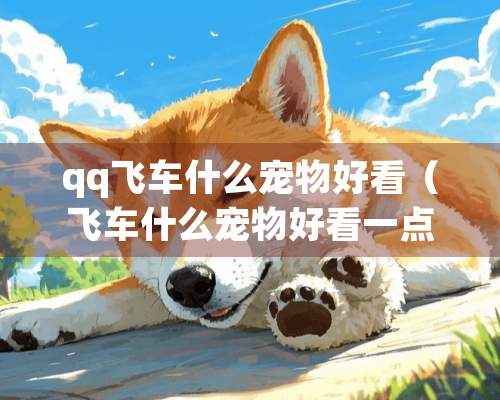 qq飞车什么宠物好看（飞车什么宠物好看一点）