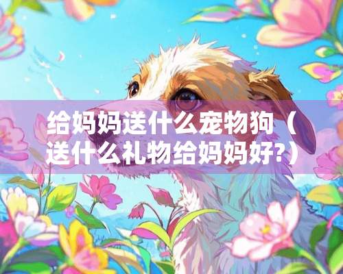 给妈妈送什么宠物狗（送什么礼物给妈妈好?）