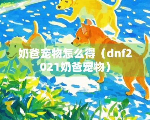 奶爸宠物怎么得（dnf2021奶爸宠物）