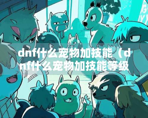 dnf什么宠物加技能（dnf什么宠物加技能等级）