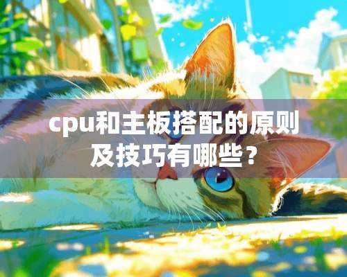 cpu和主板搭配的原则及技巧有哪些？