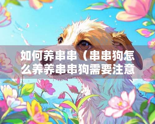 如何养串串（串串狗怎么养养串串狗需要注意什么）