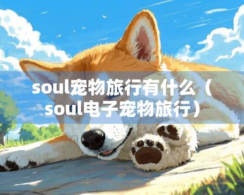 soul宠物旅行有什么（soul电子宠物旅行）