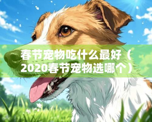 春节宠物吃什么最好（2020春节宠物选哪个）