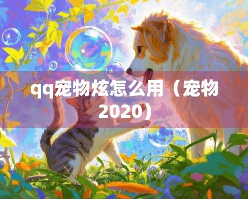 qq宠物炫怎么用（宠物2020）