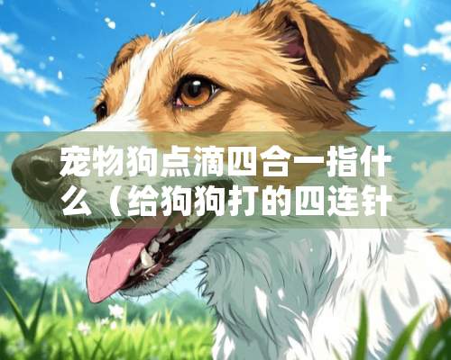 宠物狗点滴四合一指什么（给狗狗打的四连针管什么用）