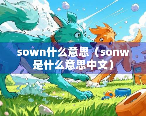 sown什么意思（sonw是什么意思中文）