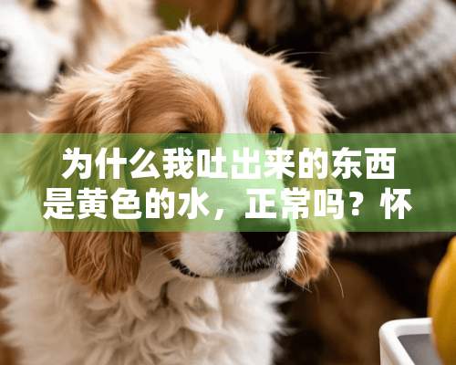 为什么我吐出来的东西是黄色的水，正常吗？怀孕中，孕吐。