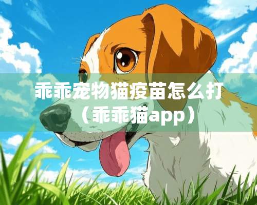 乖乖宠物猫疫苗怎么打（乖乖猫app）