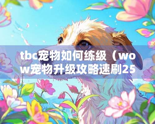 tbc宠物如何练级（wow宠物升级攻略速刷25级）