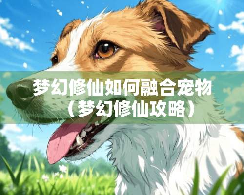 梦幻修仙如何融合宠物（梦幻修仙攻略）