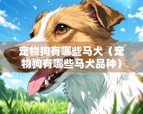 宠物狗有哪些马犬（宠物狗有哪些马犬品种）