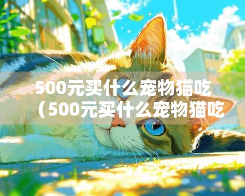 500元买什么宠物猫吃（500元买什么宠物猫吃的）