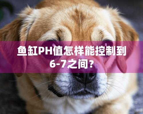 鱼缸PH值怎样能控制到6-7之间？