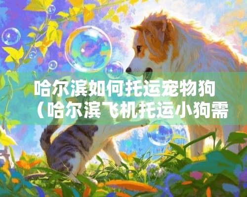 哈尔滨如何托运宠物狗（哈尔滨飞机托运小狗需要啥手续）