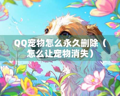 QQ宠物怎么永久删除（怎么让宠物消失）