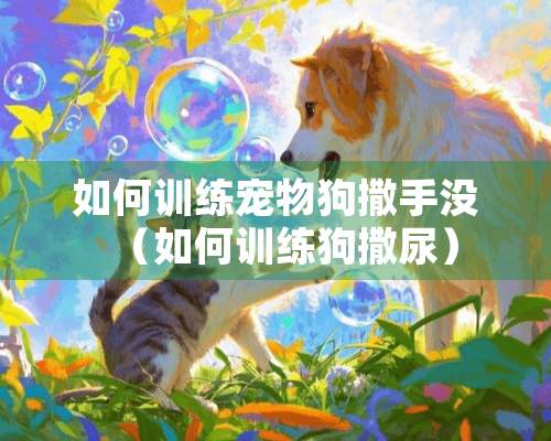 如何训练宠物狗撒手没（如何训练狗撒尿）