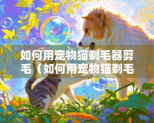 如何用宠物猫剃毛器剪毛（如何用宠物猫剃毛器剪毛视频）