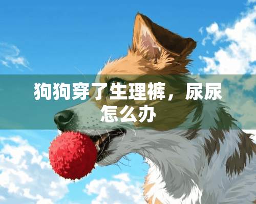 狗狗穿了生理裤，尿尿怎么办