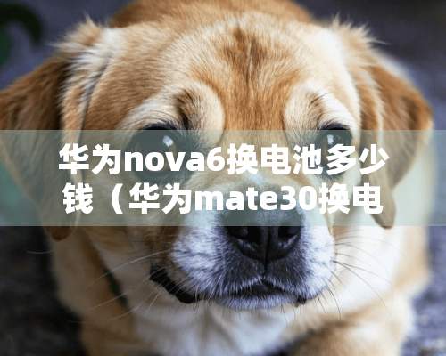 华为nova6换电池多少钱（华为mate30换电池多少钱）