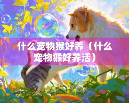 什么宠物猴好养（什么宠物猴好养活）