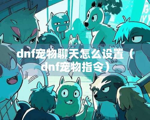 dnf宠物聊天怎么设置（dnf宠物指令）