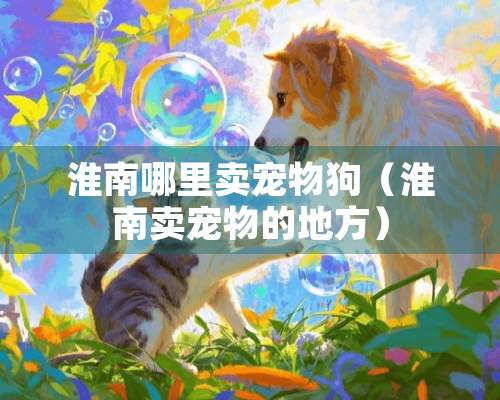 淮南哪里卖宠物狗（淮南卖宠物的地方）