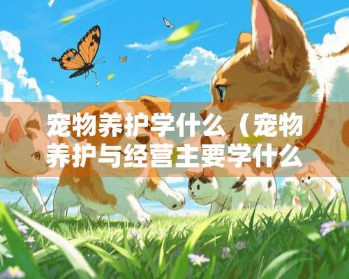 宠物养护学什么（宠物养护与经营主要学什么）