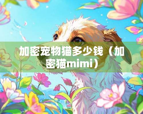 加密宠物猫多少钱（加密猫mimi）