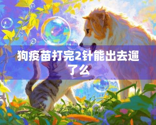 狗疫苗打完2针能出去遛了么