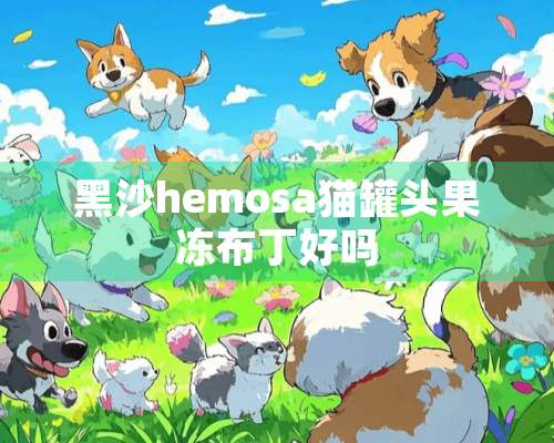 黑沙hemosa猫罐头果冻布丁好吗