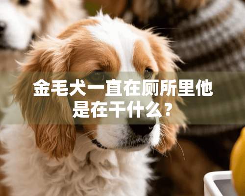 金毛犬一直在厕所里他是在干什么？