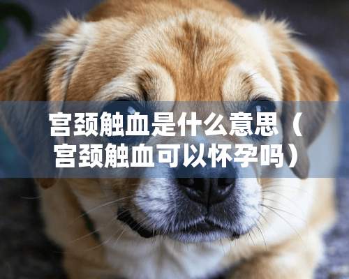 宫颈触血是什么意思（宫颈触血可以怀孕吗）