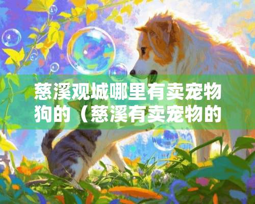 慈溪观城哪里有卖宠物狗的（慈溪有卖宠物的市场）