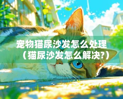 宠物猫尿沙发怎么处理（猫尿沙发怎么解决?）