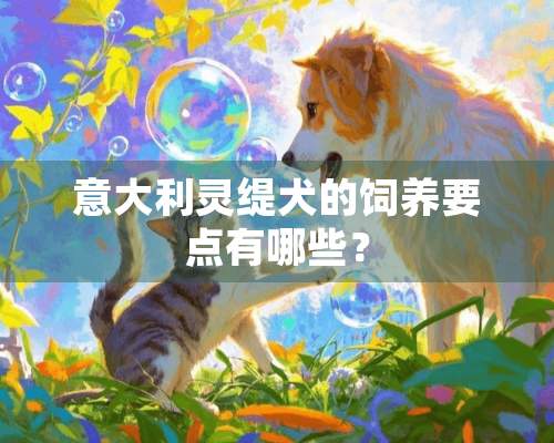 意大利灵缇犬的饲养要点有哪些？