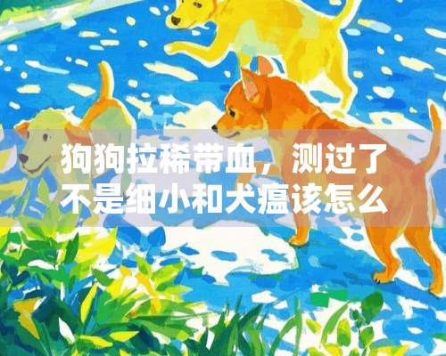 狗狗拉稀带血，测过了不是细小和犬瘟该怎么办？