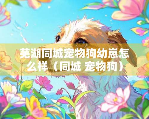 芜湖同城宠物狗幼崽怎么样（同城 宠物狗）