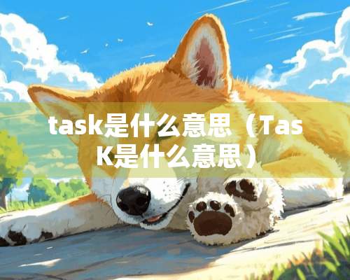 task是什么意思（TasK是什么意思）