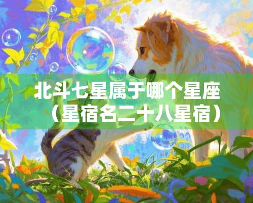 北斗七星属于哪个星座（星宿名二十八星宿）