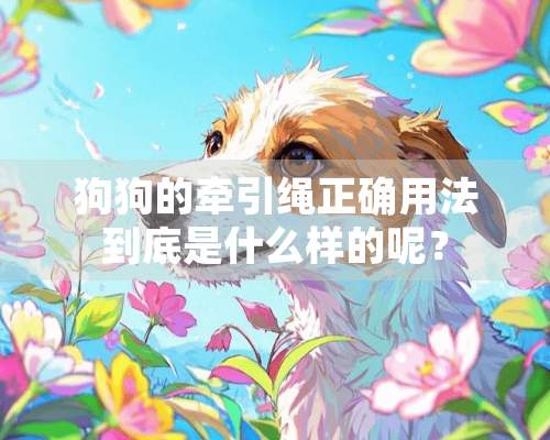 狗狗的牵引绳正确用法到底是什么样的呢？