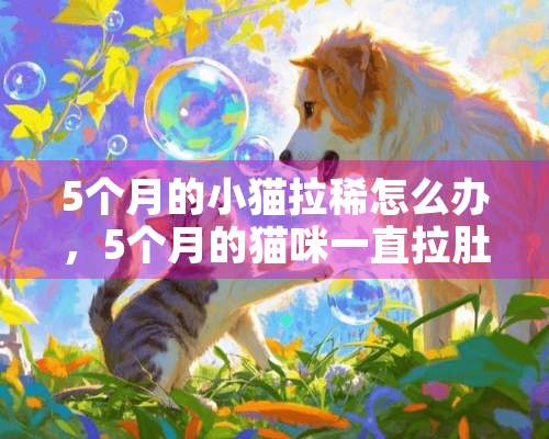 5个月的小猫拉稀怎么办，5个月的猫咪一直拉肚子怎么办