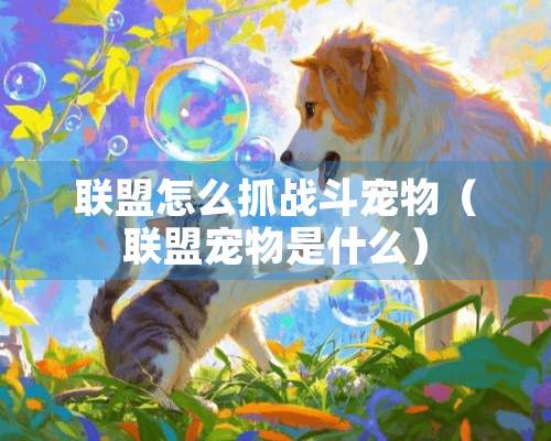 联盟怎么抓战斗宠物（联盟宠物是什么）