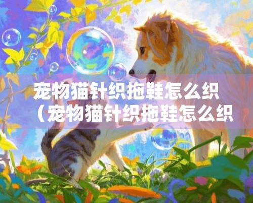 宠物猫针织拖鞋怎么织（宠物猫针织拖鞋怎么织视频）