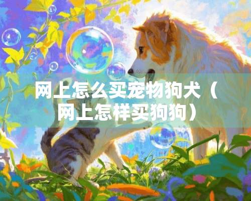 网上怎么买宠物狗犬（网上怎样买狗狗）