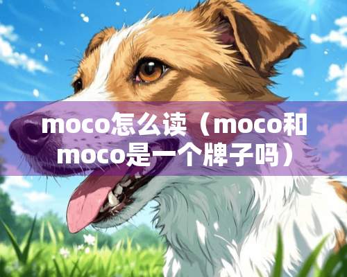 moco怎么读（moco和moco是一个牌子吗）