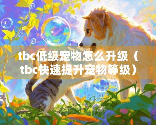 tbc低级宠物怎么升级（tbc快速提升宠物等级）