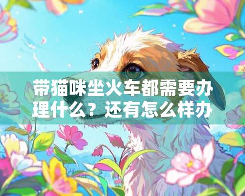 带猫咪坐火车都需要办理什么？还有怎么样办理？