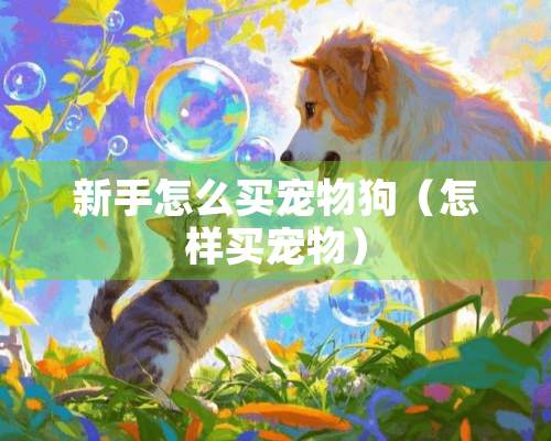 新手怎么买宠物狗（怎样买宠物）