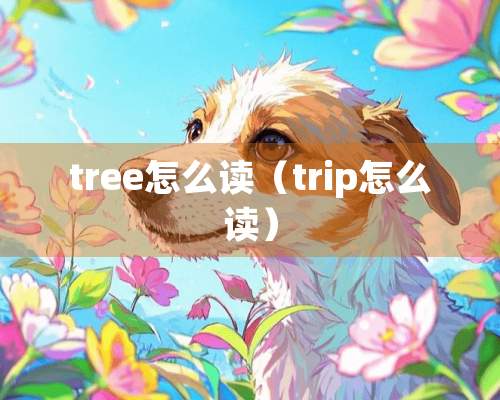 tree怎么读（trip怎么读）